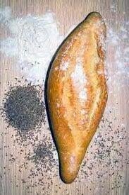 Pan matalahuva